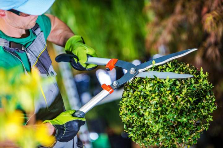 Service d'entretien de jardin Menton
